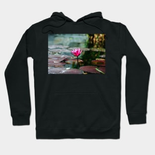 Meditation Wall Art Print - Water Lily Meditation - canvas, Photo print, artboard print, poster Canvas Print Hoodie